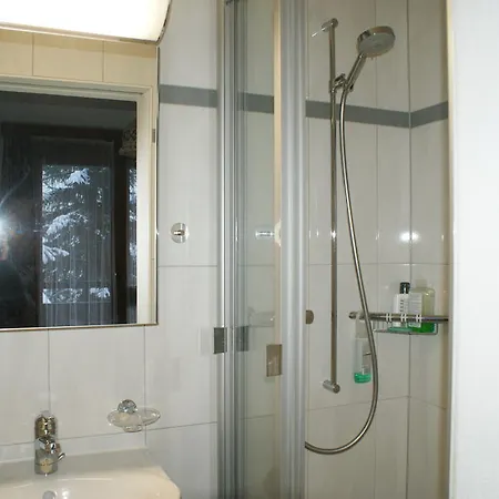 Apartment Des Alpes Davos