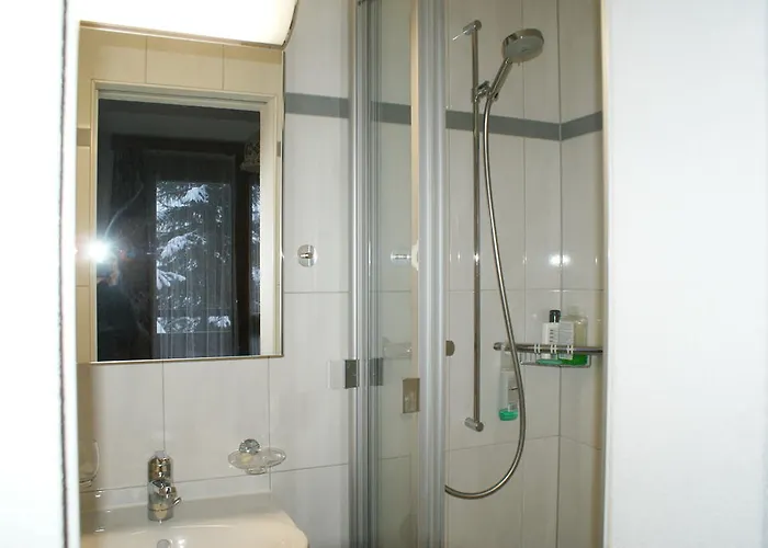 Lägenhet Des Alpes Davos